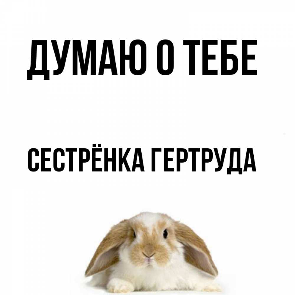 Открытка на каждый день с именем, Сестрёнка-Гертруда Думаю о тебе подписать своими руками онлайн Прикольная открытка с пожеланием онлайн скачать бесплатно 