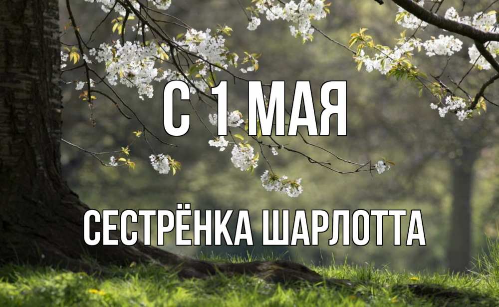 Открытка на каждый день с именем, Сестрёнка-Шарлотта С 1 мая С 1 мая Прикольная открытка с пожеланием онлайн скачать бесплатно 