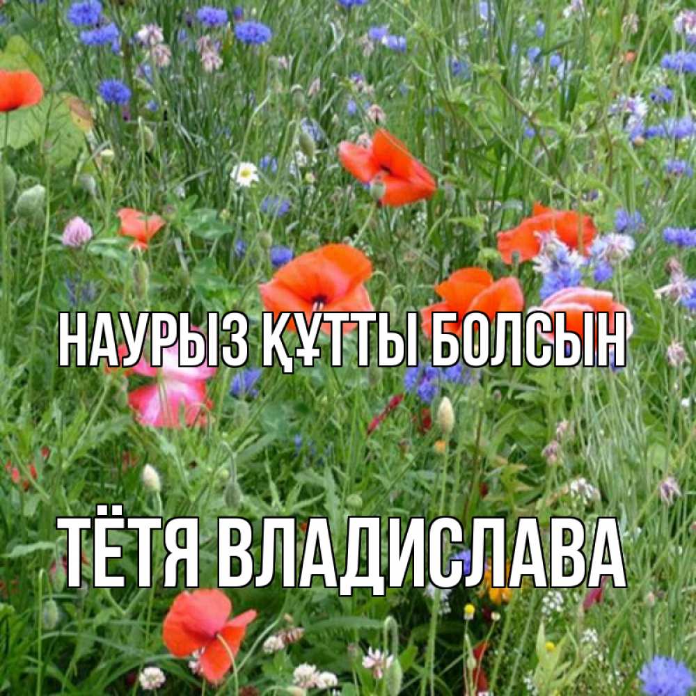Открытка на каждый день с именем, Тётя-Владислава Наурыз құтты болсын наурыз  4 Прикольная открытка с пожеланием онлайн скачать бесплатно 