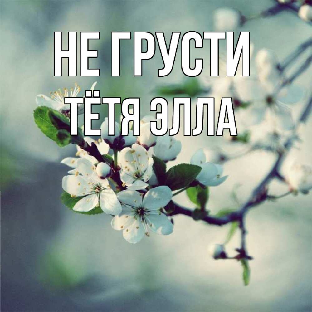 Открытка на каждый день с именем, Тётя-Элла Не грусти яблоня в цвету 1 Прикольная открытка с пожеланием онлайн скачать бесплатно 