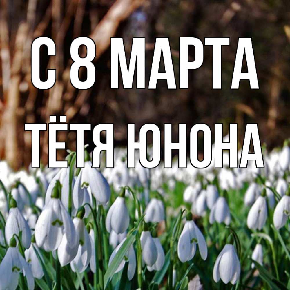 Открытка на каждый день с именем, Тётя-Юнона С 8 МАРТА с подснежниками 1 Прикольная открытка с пожеланием онлайн скачать бесплатно 