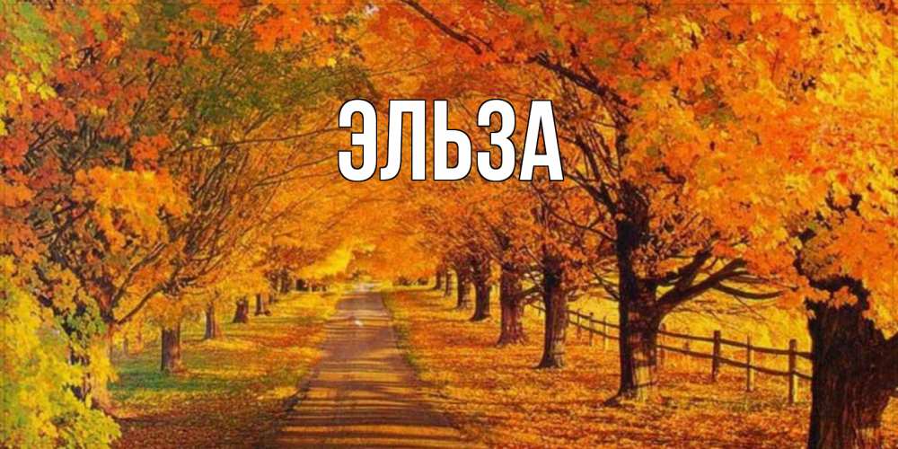 Открытка на каждый день с именем, Эльза Главная деревья с осенними листьями Прикольная открытка с пожеланием онлайн скачать бесплатно 