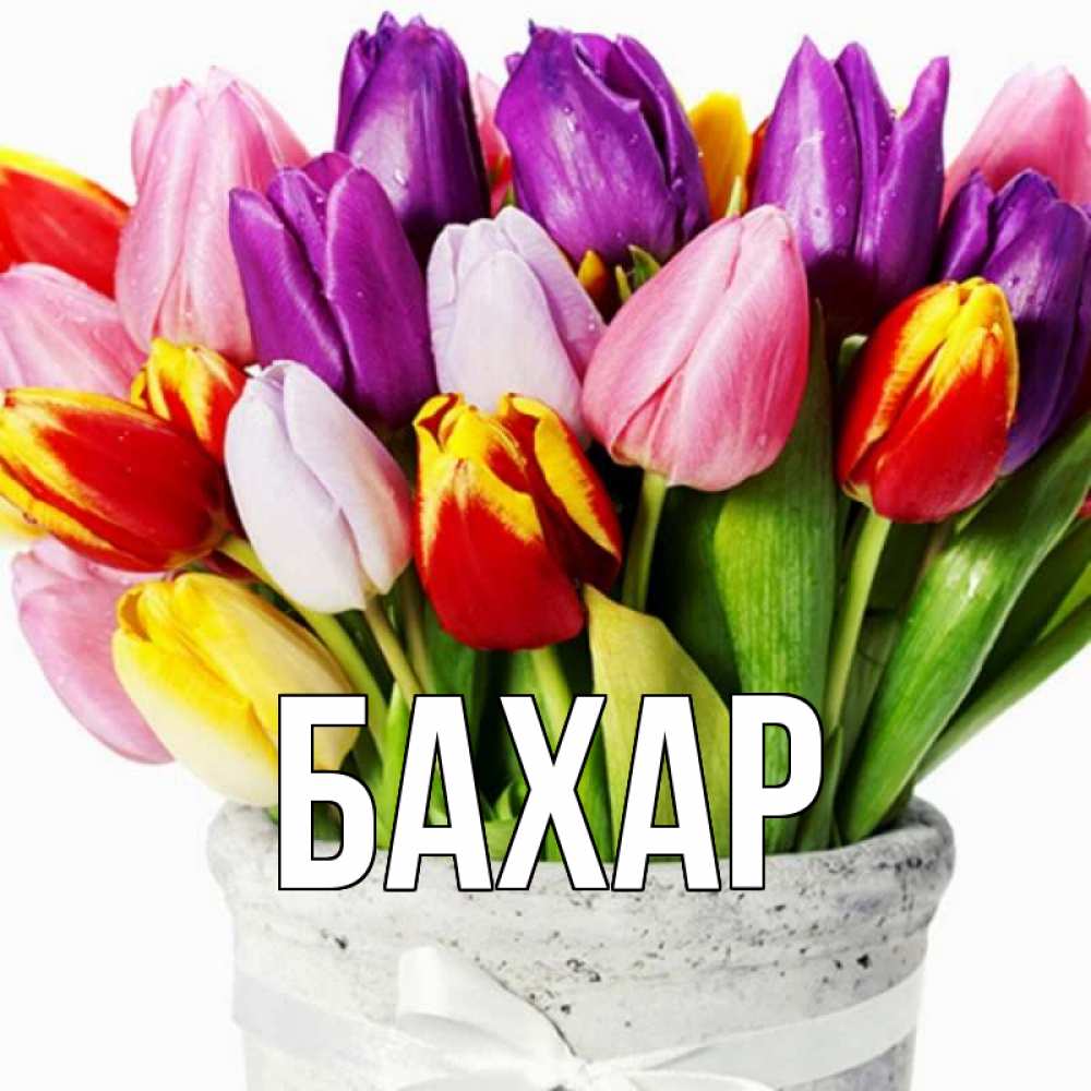 Открытка на каждый день с именем, Бахар Главная букет Прикольная открытка с пожеланием онлайн скачать бесплатно 