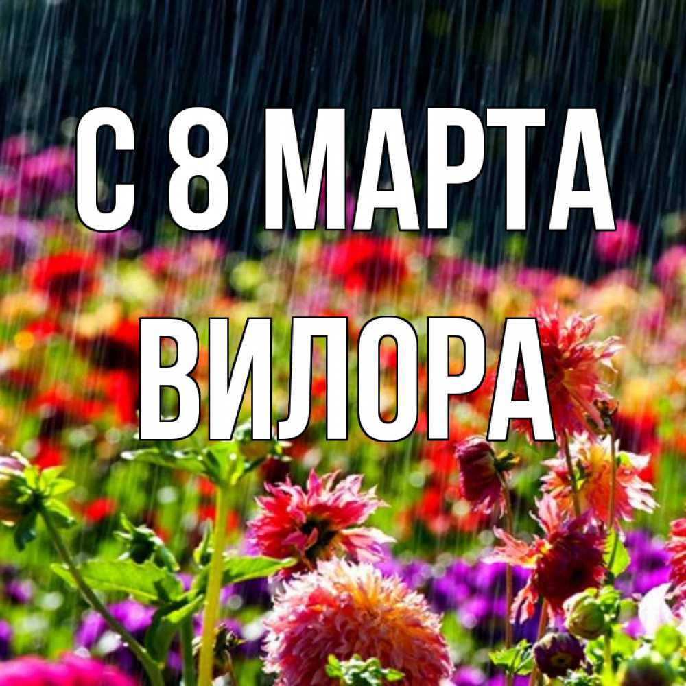 Открытка на каждый день с именем, Вилора С 8 марта цветы под дождиком к международному женскому дню Прикольная открытка с пожеланием онлайн скачать бесплатно 