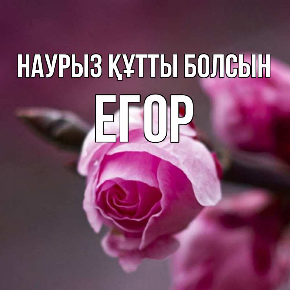 Открытка на каждый день с именем, Егор Наурыз құтты болсын весна Прикольная открытка с пожеланием онлайн скачать бесплатно 