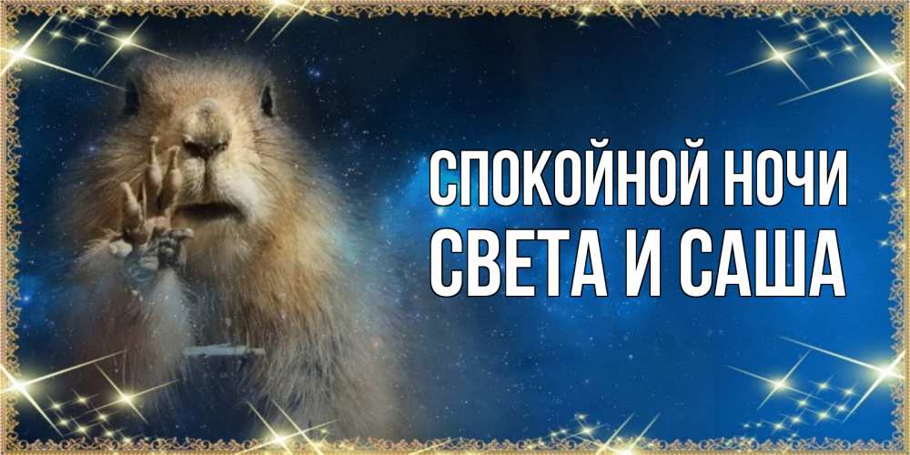 Смешные картинки спокойной ночи саша