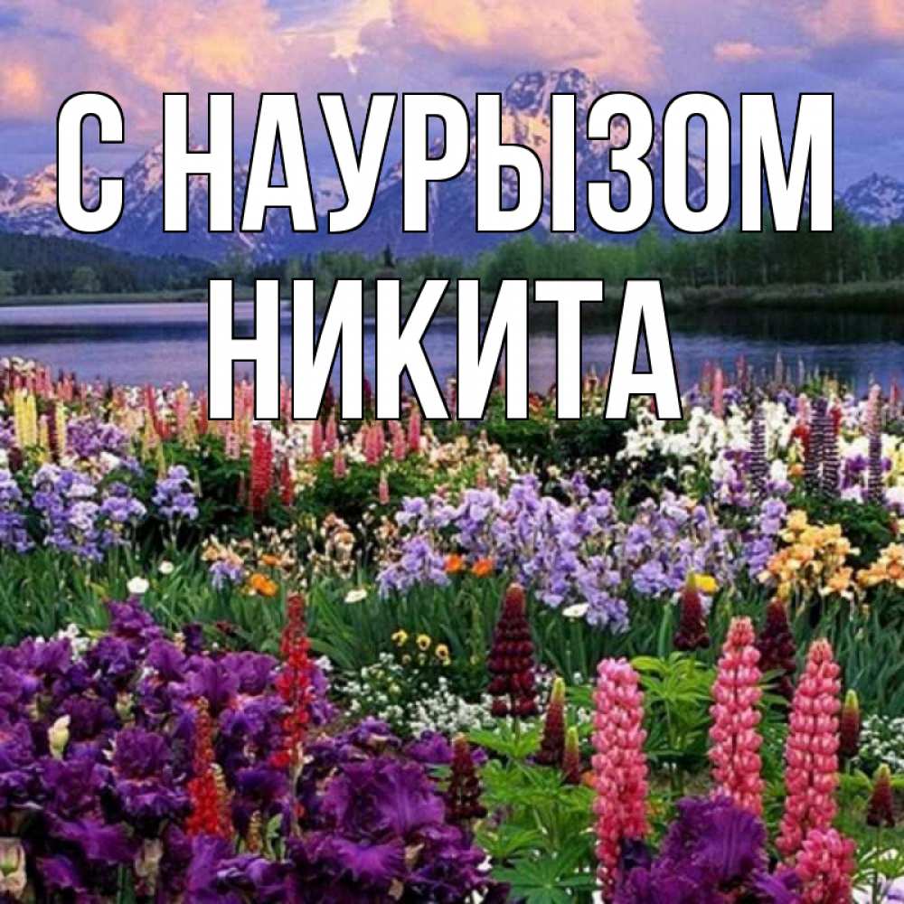 Открытка на каждый день с именем, Никита С наурызом праздник весны наурыз Прикольная открытка с пожеланием онлайн скачать бесплатно 