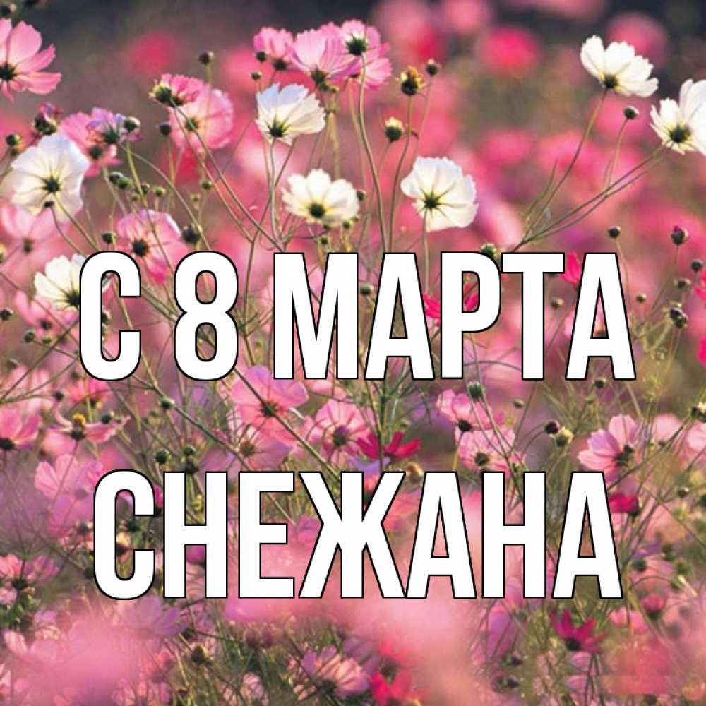 Открытка на каждый день с именем, Снежана С 8 МАРТА красиво 1 Прикольная открытка с пожеланием онлайн скачать бесплатно 
