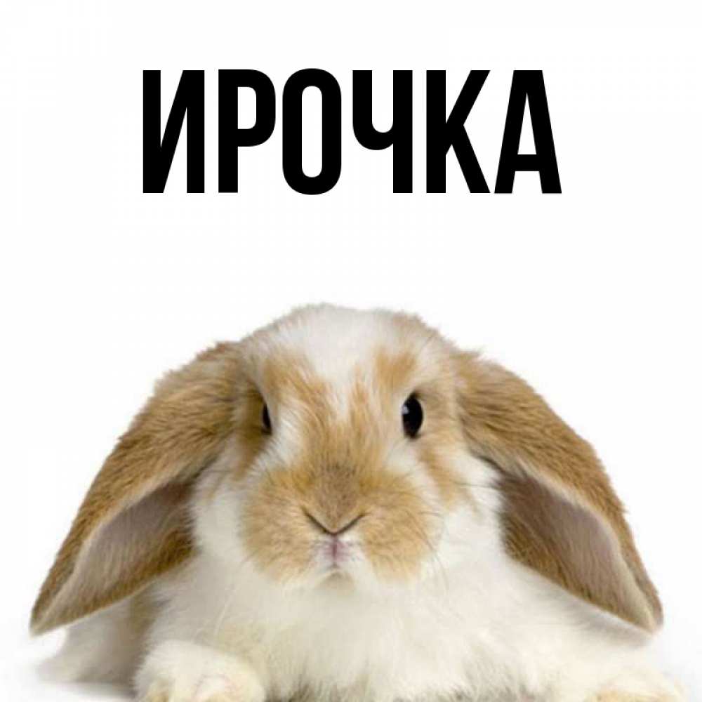 Картинка  с именем , ирочка