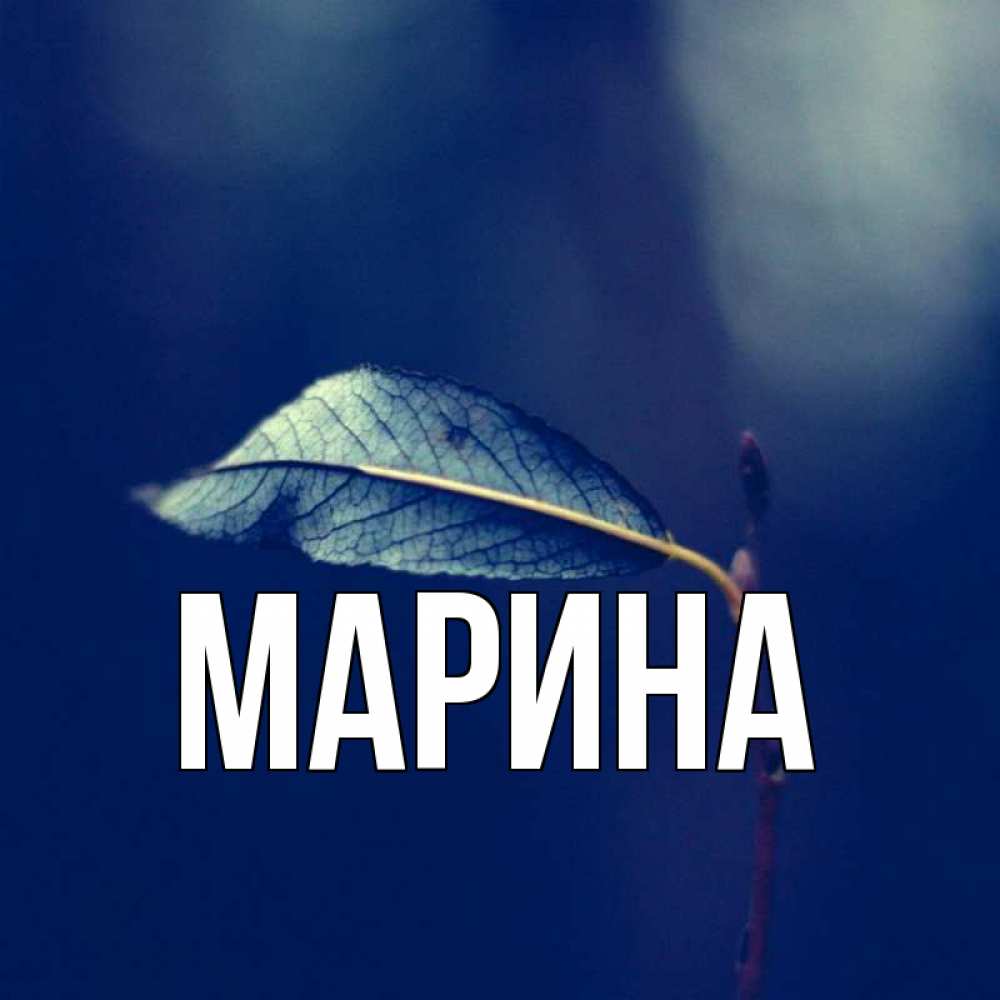 Открытка на каждый день с именем, Марина Главная одна ветка 1 Прикольная открытка с пожеланием онлайн скачать бесплатно 