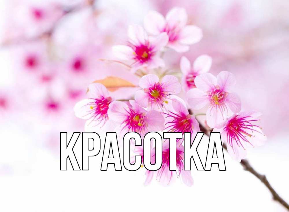 Открытка на каждый день с именем, красотка Главная С 1 мая 2 Прикольная открытка с пожеланием онлайн скачать бесплатно 