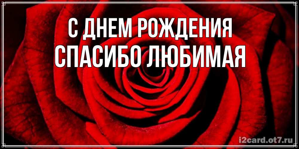 Картинка С днем рождения, Спасибо любимая