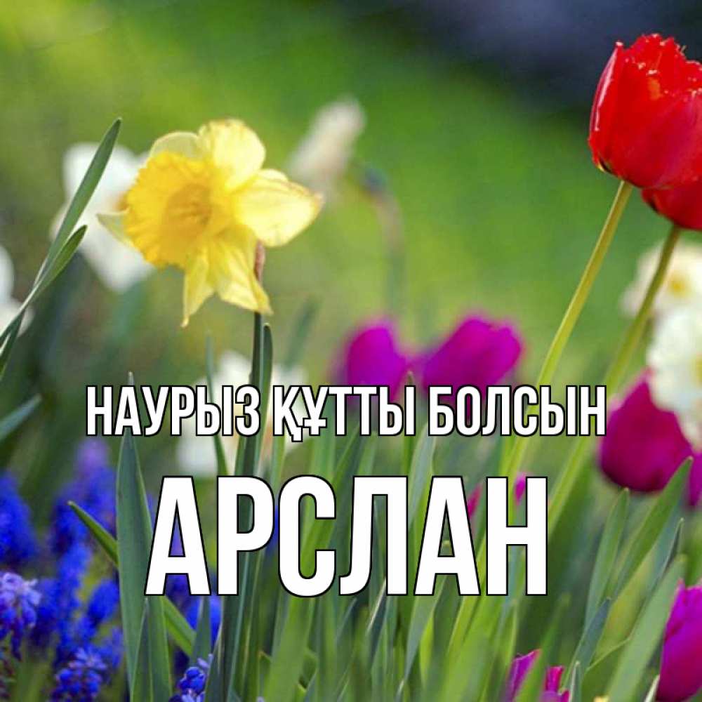 Открытка на каждый день с именем, Арслан Наурыз құтты болсын наурыз  3 открытки Прикольная открытка с пожеланием онлайн скачать бесплатно 