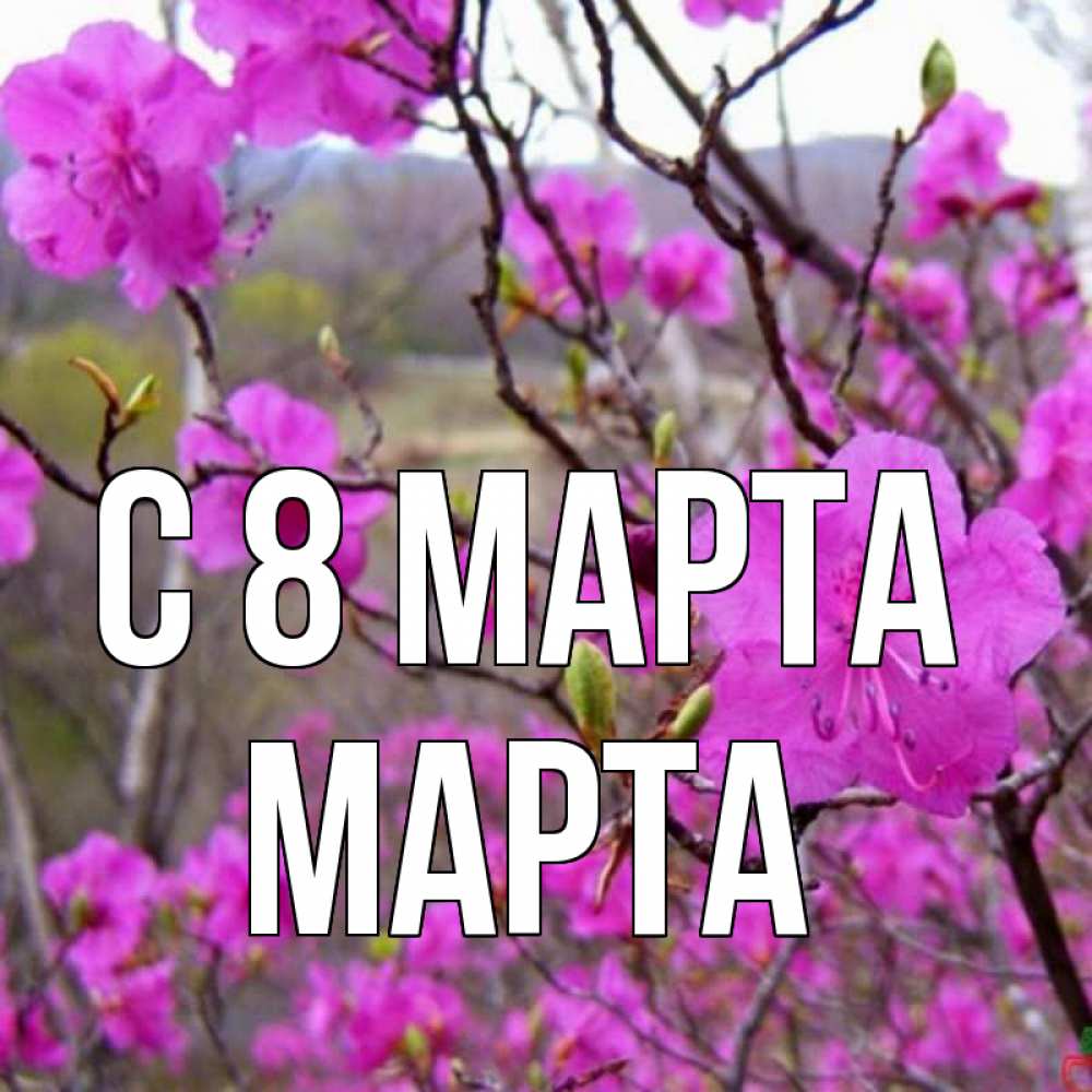 Открытка на каждый день с именем, Марта С 8 марта международный женский день Прикольная открытка с пожеланием онлайн скачать бесплатно 