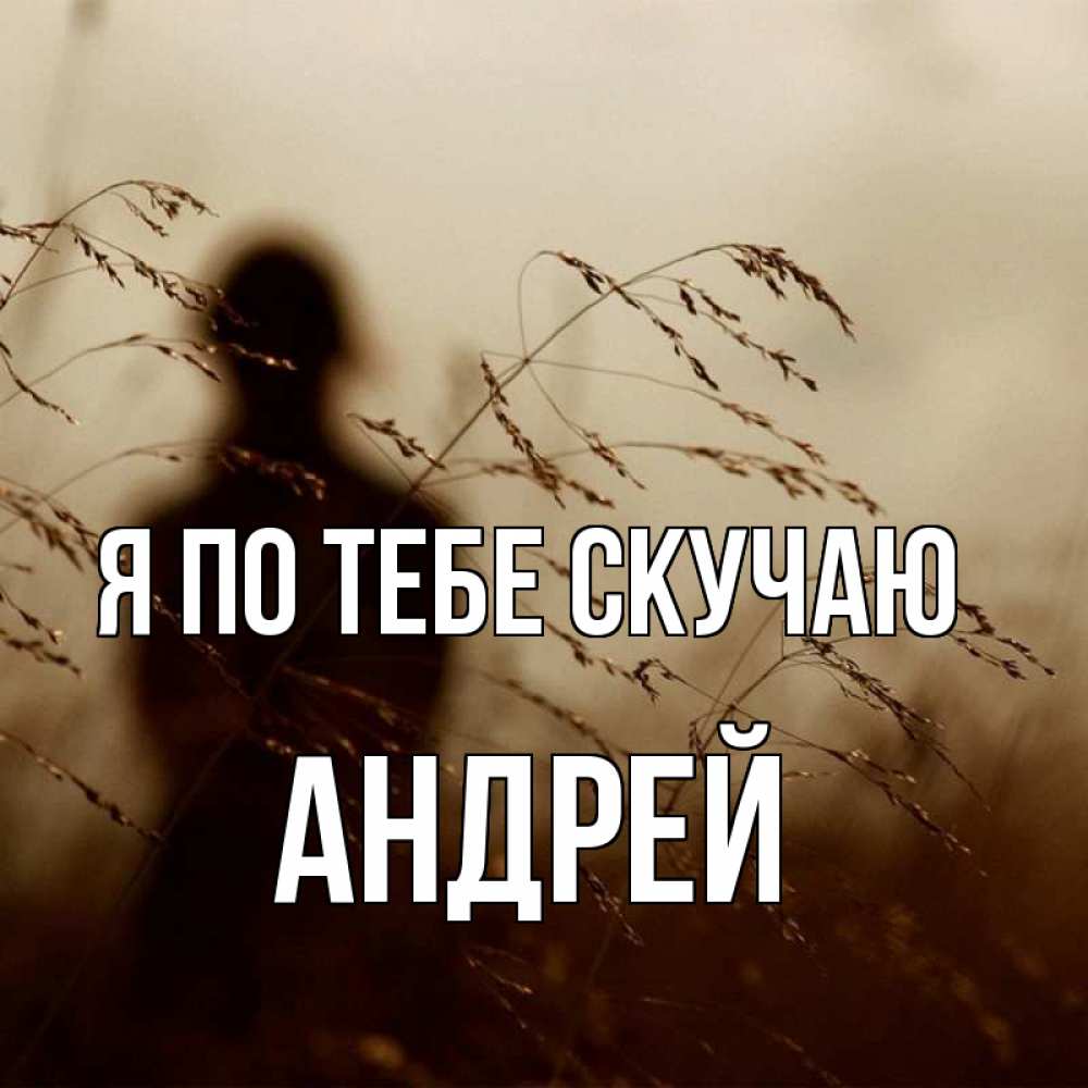 Скучаю по андрею картинки