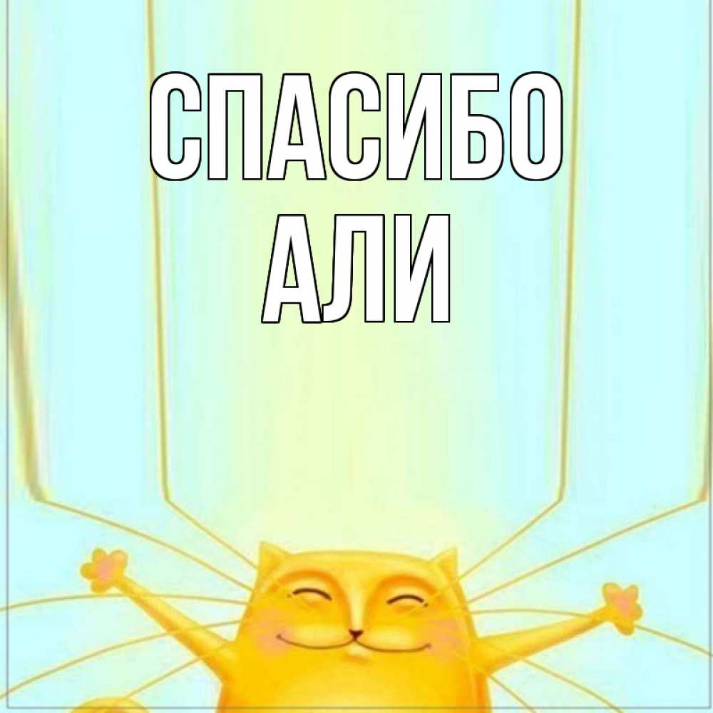 Открытка на каждый день с именем, Али Спасибо кот с усами благодарит Прикольная открытка с пожеланием онлайн скачать бесплатно 