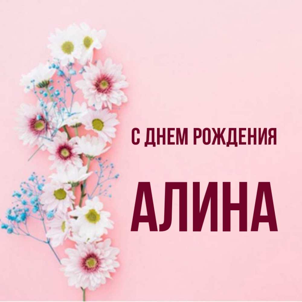 Открытка на каждый день с именем, Алина С днем рождения Родная моя с днем рождения тебя картинка с цветами белыми и голубыми Прикольная открытка с пожеланием онлайн скачать бесплатно 