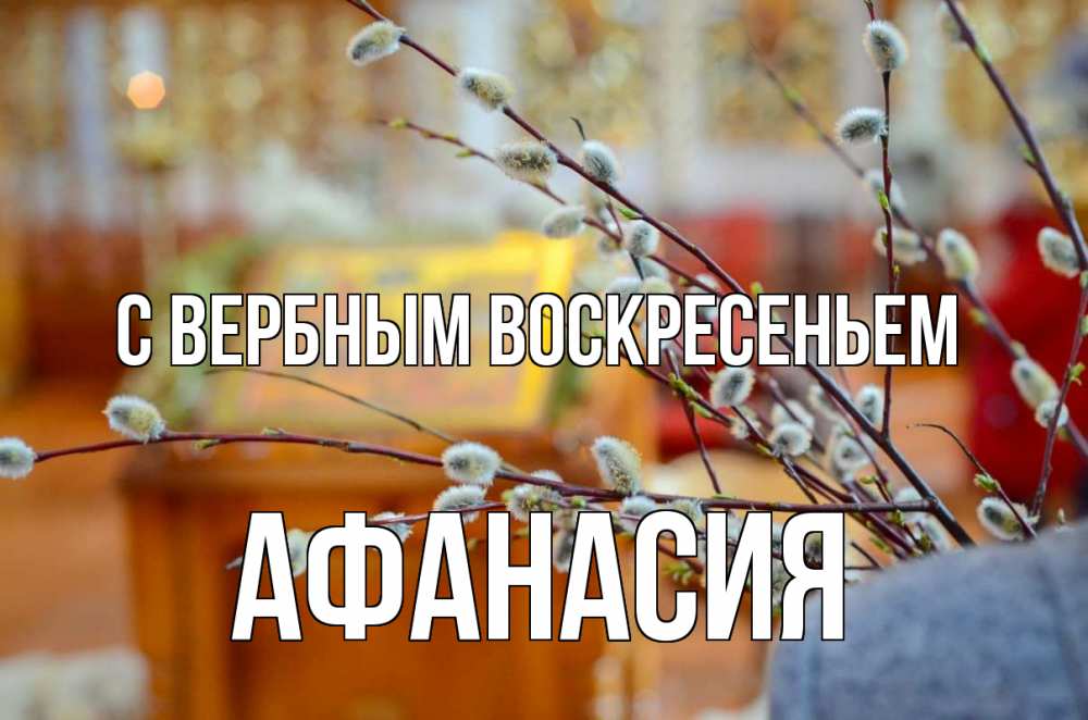 Открытка на каждый день с именем, Афанасия С вербным воскресеньем верба Прикольная открытка с пожеланием онлайн скачать бесплатно 