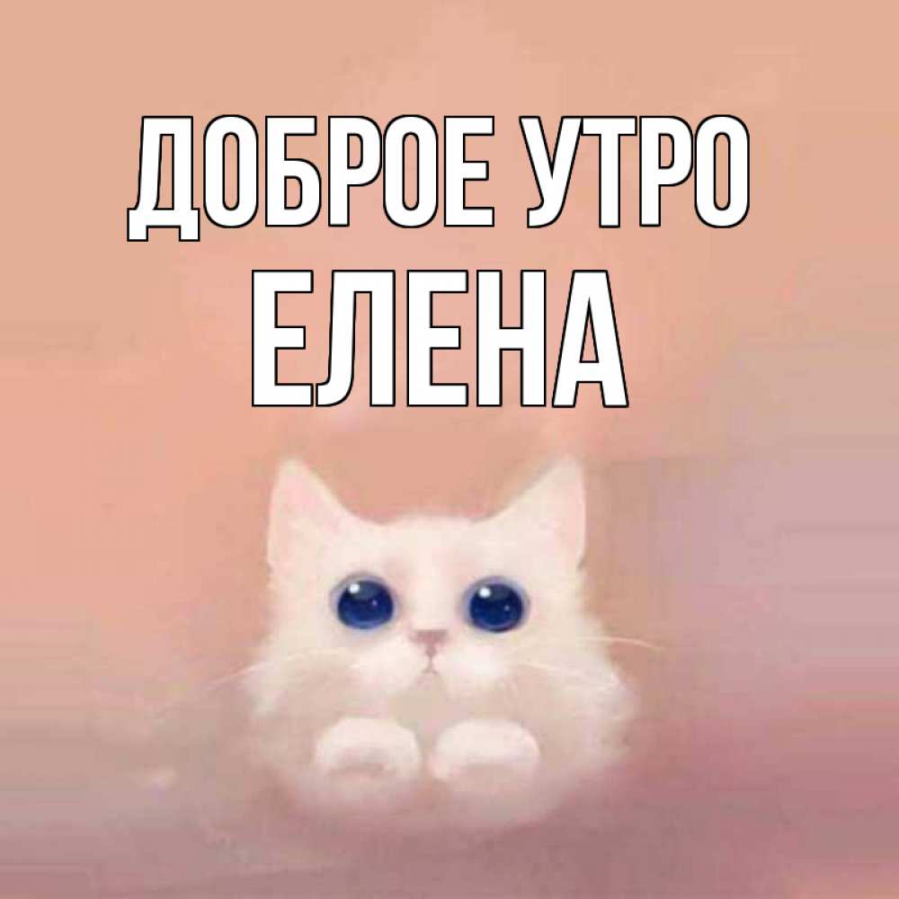 Открытка на каждый день с именем, Елена Доброе утро на розовом фоне Прикольная открытка с пожеланием онлайн скачать бесплатно 