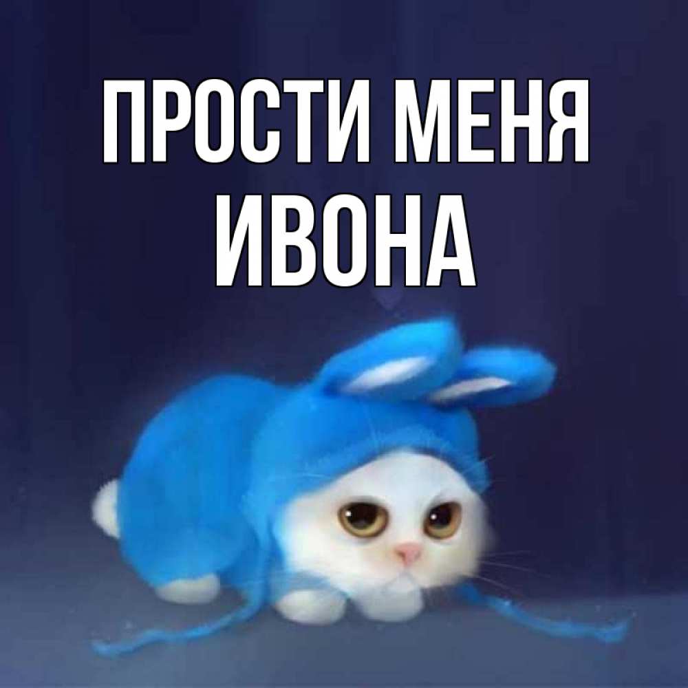 Открытка на каждый день с именем, Ивона Прости меня невинный котозай просит прощения Прикольная открытка с пожеланием онлайн скачать бесплатно 