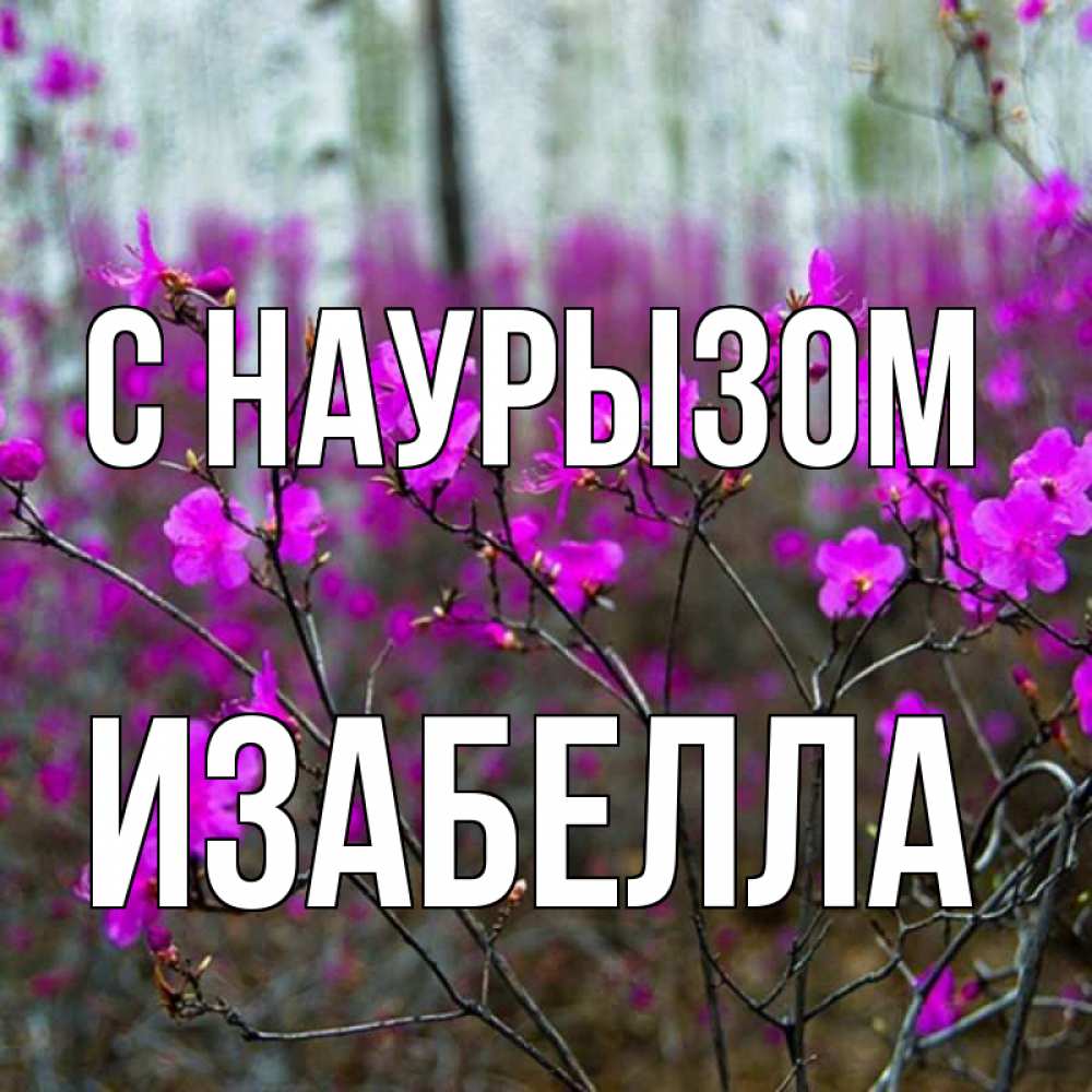 Открытка на каждый день с именем, Изабелла С наурызом дикие цветы Прикольная открытка с пожеланием онлайн скачать бесплатно 