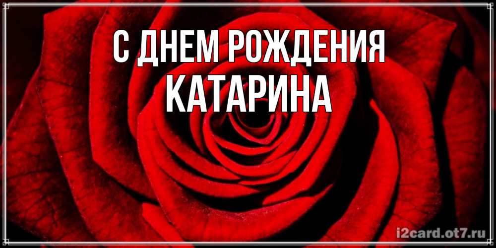 Открытка на каждый день с именем, Катарина С днем рождения алая роза Прикольная открытка с пожеланием онлайн скачать бесплатно 