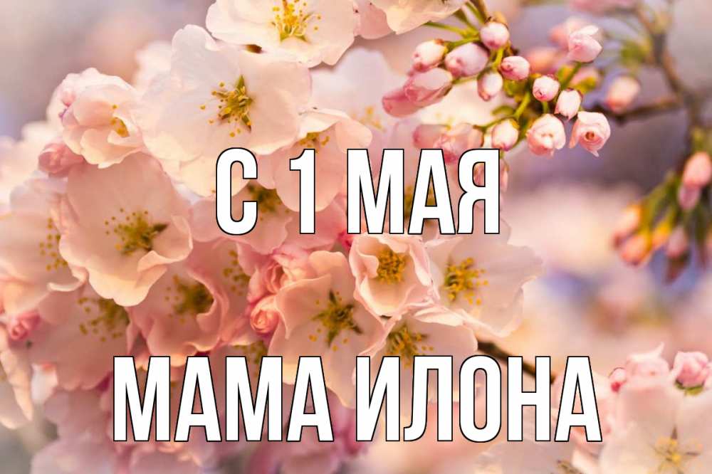 Открытка на каждый день с именем, Мама-Илона С 1 мая С 1 мая Прикольная открытка с пожеланием онлайн скачать бесплатно 