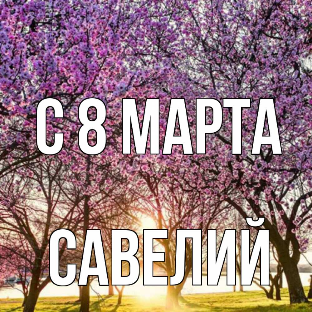 Открытка на каждый день с именем, Савелий С 8 МАРТА международный женский день Прикольная открытка с пожеланием онлайн скачать бесплатно 