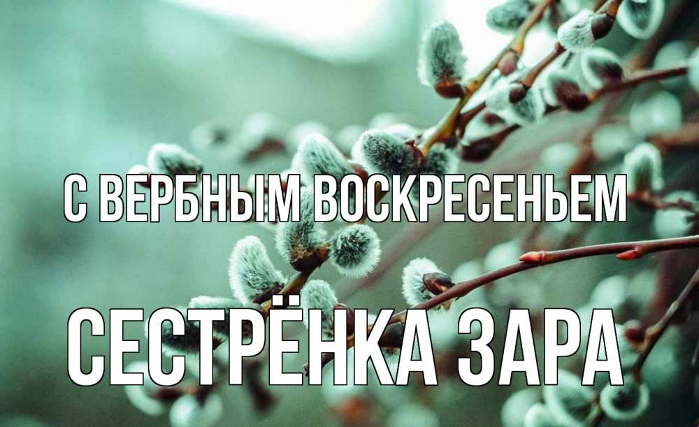 Открытка на каждый день с именем, Сестрёнка-Зара С вербным воскресеньем верба Прикольная открытка с пожеланием онлайн скачать бесплатно 
