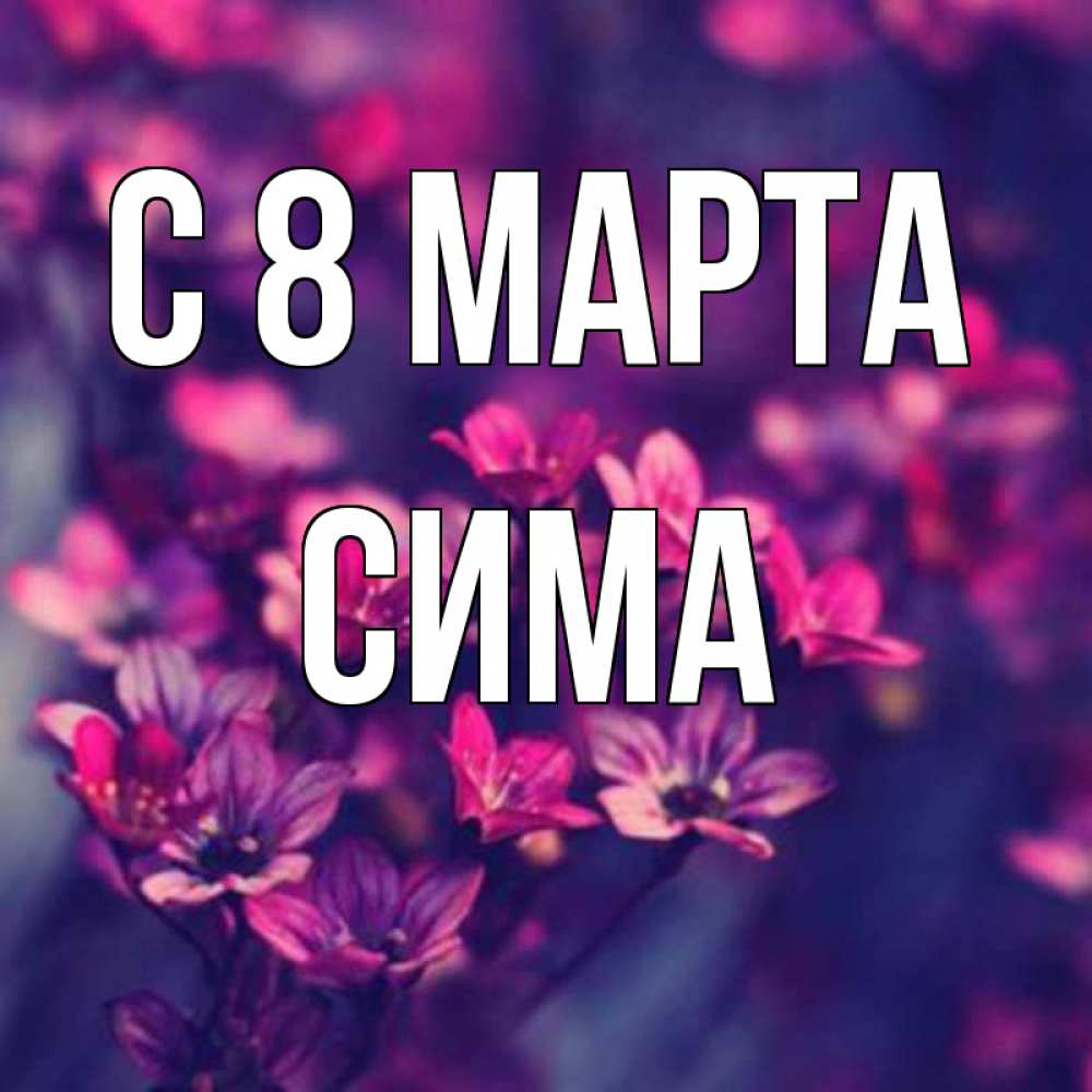 Открытка на каждый день с именем, Сима С 8 МАРТА небольшие цветы 1 Прикольная открытка с пожеланием онлайн скачать бесплатно 