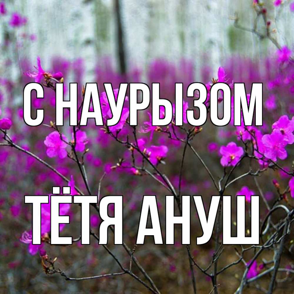 Открытка на каждый день с именем, Тётя-Ануш С наурызом дикие цветы Прикольная открытка с пожеланием онлайн скачать бесплатно 