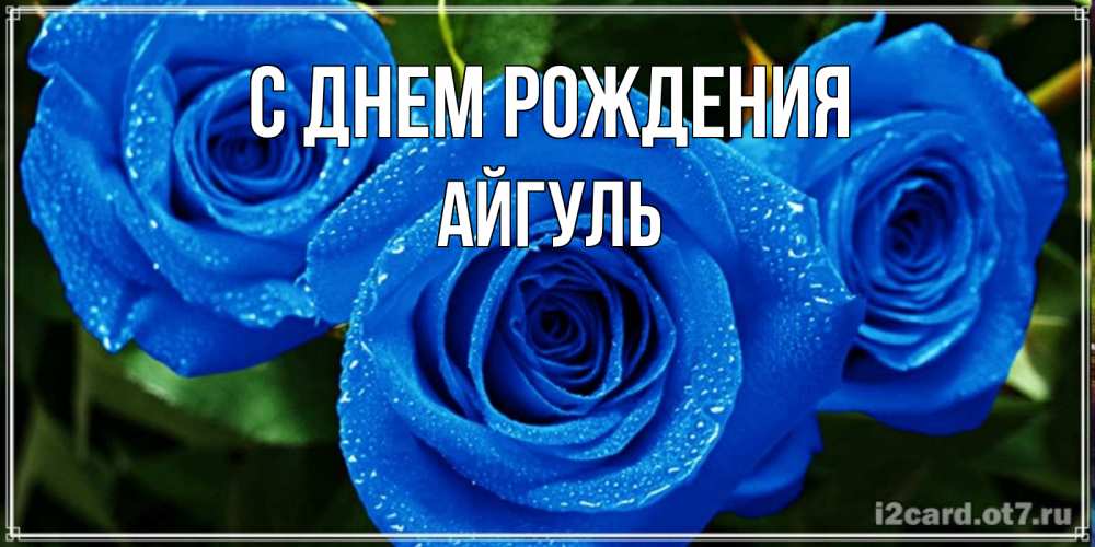 Открытка на каждый день с именем, Айгуль С днем рождения розы с синим цветом Прикольная открытка с пожеланием онлайн скачать бесплатно 