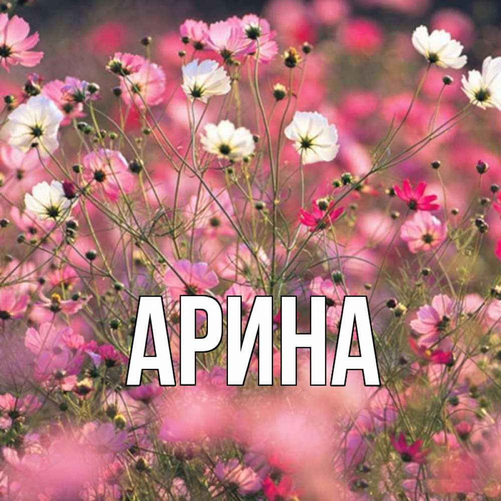 Открытка на каждый день с именем, Арина Главная красиво 1 Прикольная открытка с пожеланием онлайн скачать бесплатно 