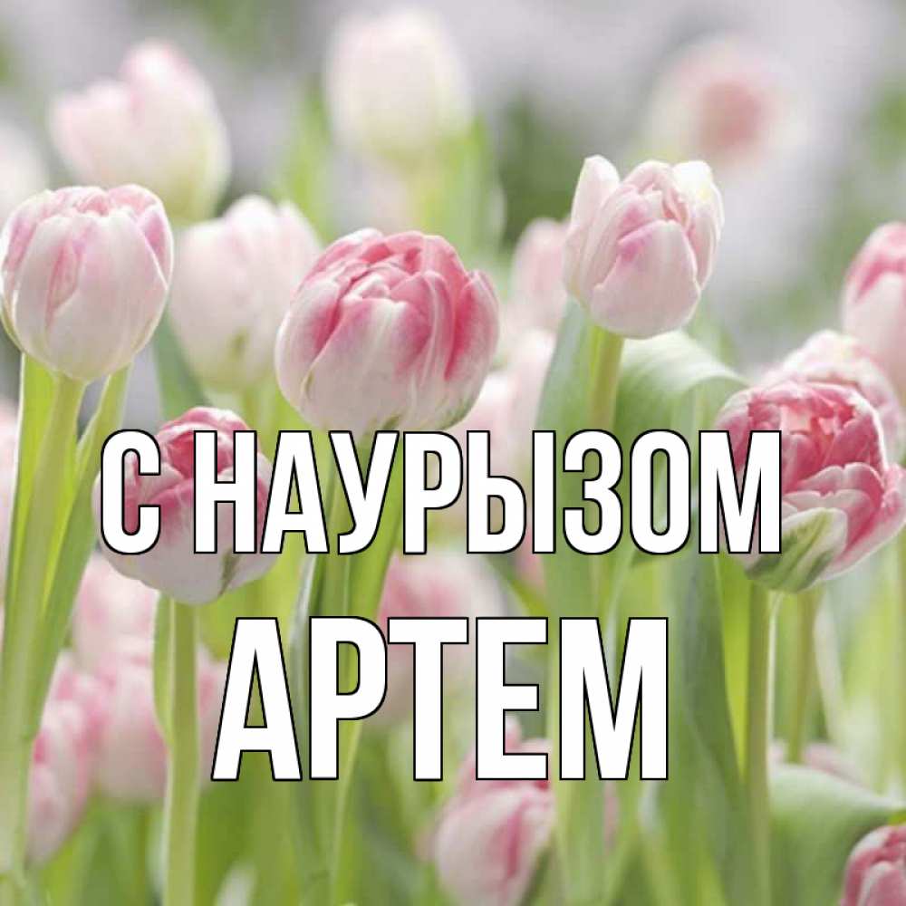 Открытка на каждый день с именем, Артем С наурызом цветы Прикольная открытка с пожеланием онлайн скачать бесплатно 