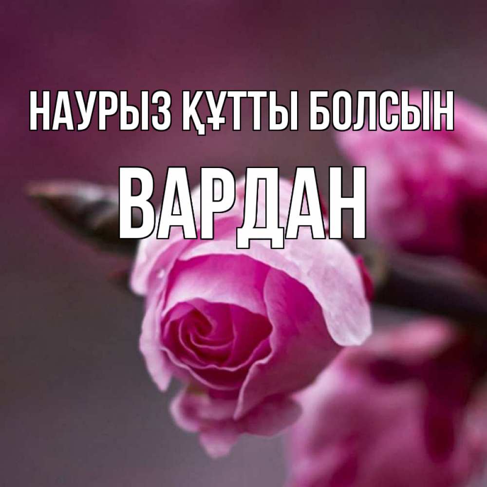 Открытка на каждый день с именем, Вардан Наурыз құтты болсын весна Прикольная открытка с пожеланием онлайн скачать бесплатно 