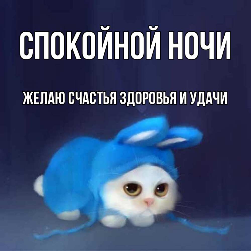 Открытка на каждый день с именем, ЖЕЛАЮ-СЧАСТЬЯ-ЗДОРОВЬЯ-И-УДАЧИ Спокойной ночи кот в голубом костюме кролика с ушками Прикольная открытка с пожеланием онлайн скачать бесплатно 