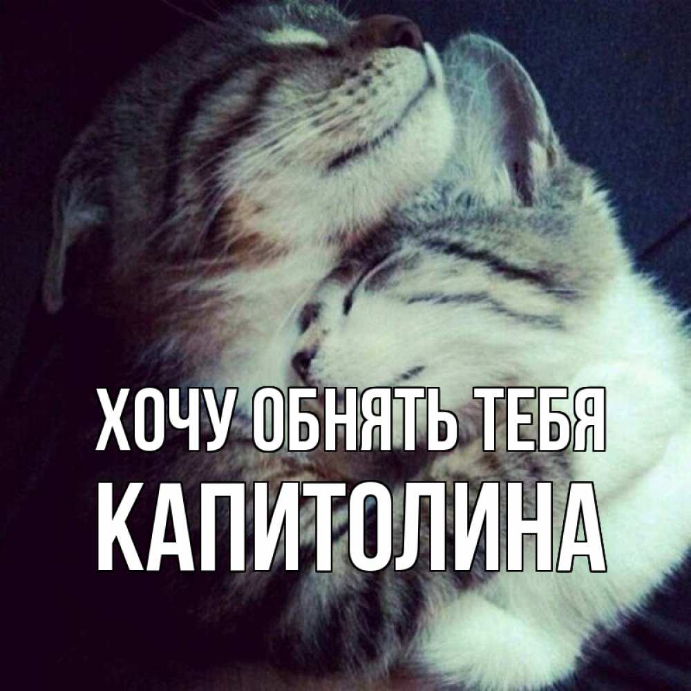 Открытка на каждый день с именем, Капитолина Хочу обнять тебя полосатики Прикольная открытка с пожеланием онлайн скачать бесплатно 