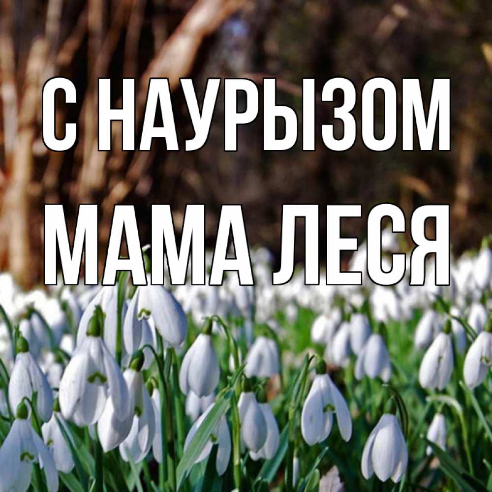 Открытка на каждый день с именем, Мама-Леся С наурызом с подснежниками 1 Прикольная открытка с пожеланием онлайн скачать бесплатно 