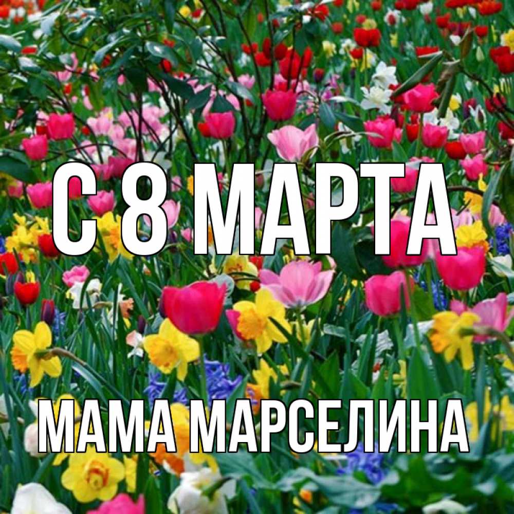 Открытка на каждый день с именем, Мама-Марселина С 8 МАРТА с международным женским днем поздравления для женщины Прикольная открытка с пожеланием онлайн скачать бесплатно 