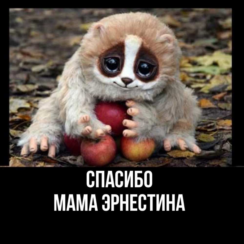 Открытка на каждый день с именем, Мама-Эрнестина Спасибо прикольное животное Прикольная открытка с пожеланием онлайн скачать бесплатно 