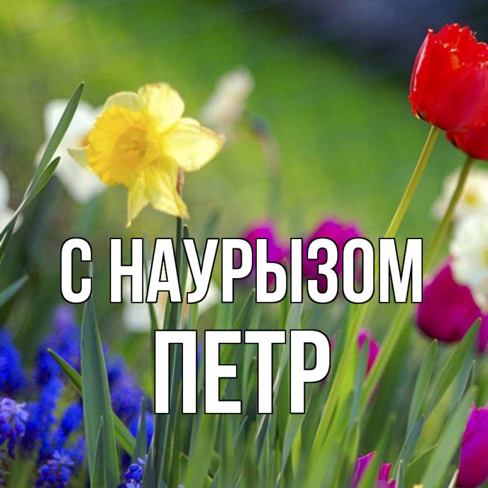 Открытка на каждый день с именем, Петр С наурызом праздник весны наурыз 3 Прикольная открытка с пожеланием онлайн скачать бесплатно 