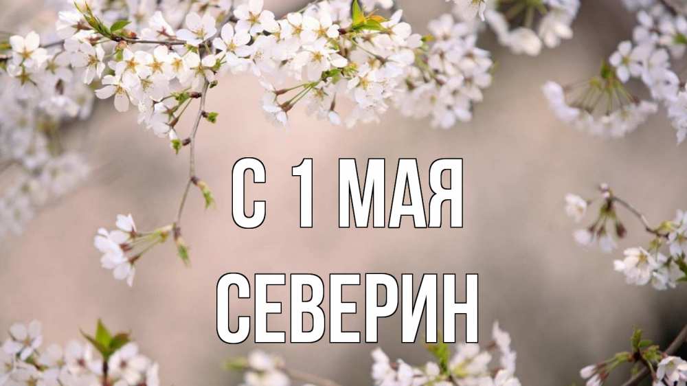 Открытка на каждый день с именем, Северин С 1 мая С 1 мая Прикольная открытка с пожеланием онлайн скачать бесплатно 