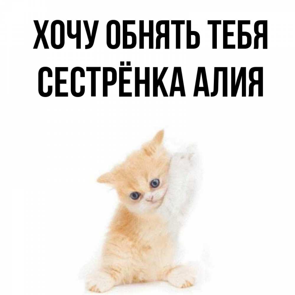 Открытка на каждый день с именем, Сестрёнка-Алия Хочу обнять тебя я хочу очень скорее обнимаешек Прикольная открытка с пожеланием онлайн скачать бесплатно 
