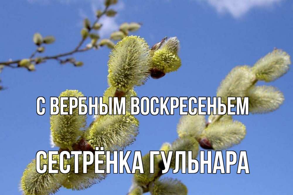 Открытка на каждый день с именем, Сестрёнка-Гульнара С вербным воскресеньем верба Прикольная открытка с пожеланием онлайн скачать бесплатно 