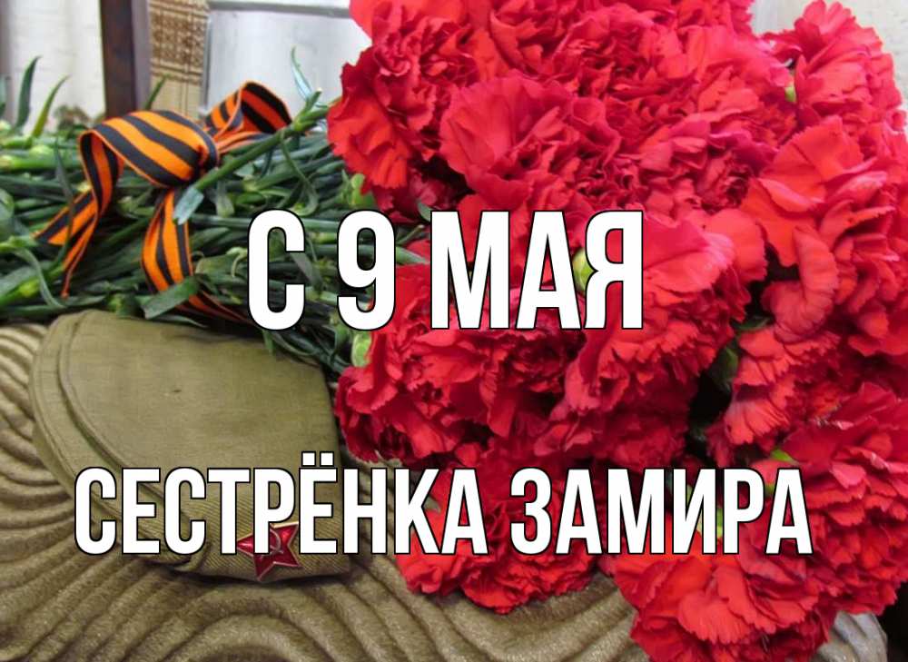 Открытка на каждый день с именем, Сестрёнка-Замира С 9 мая 9 мая Прикольная открытка с пожеланием онлайн скачать бесплатно 