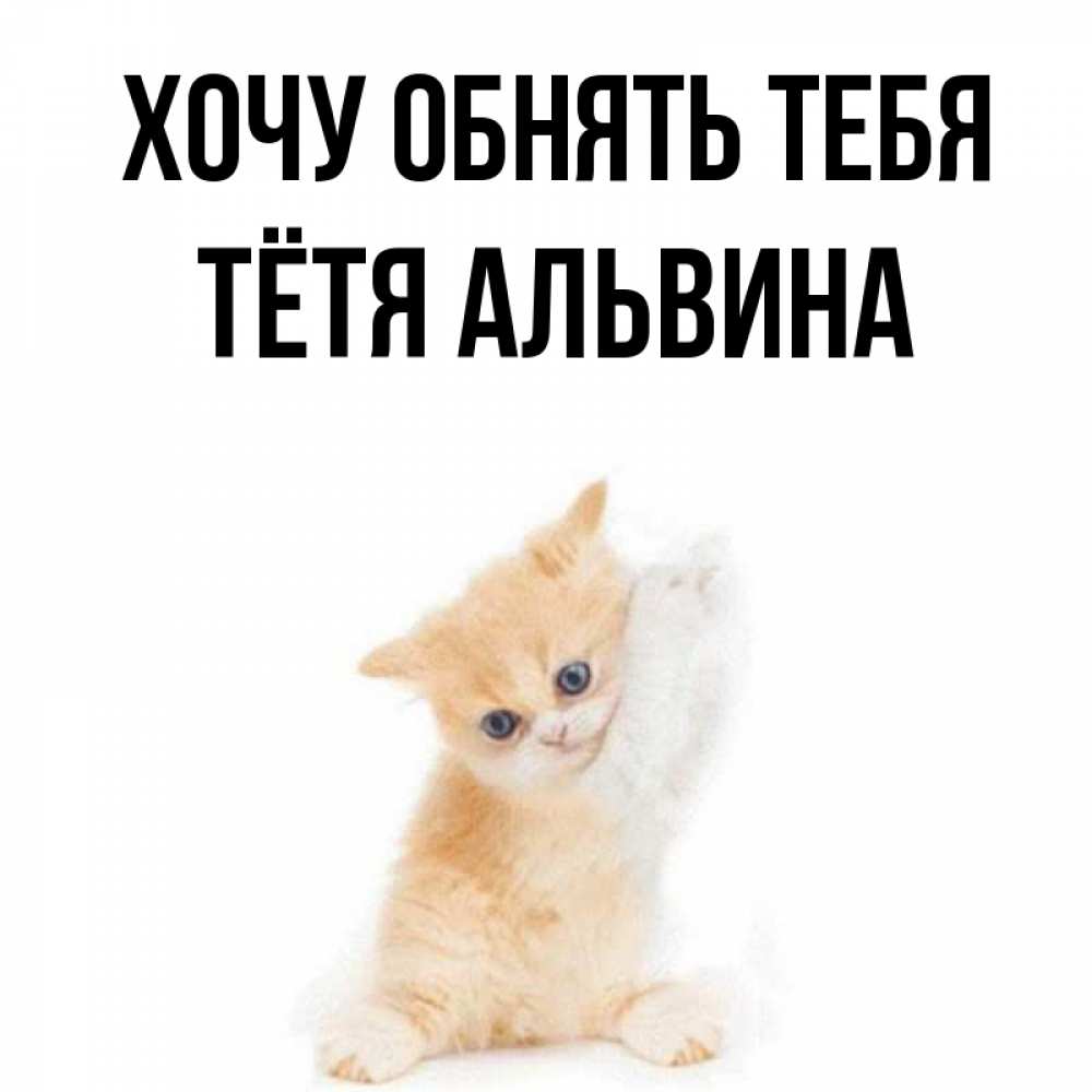 Открытка на каждый день с именем, Тётя-Альвина Хочу обнять тебя я хочу очень скорее обнимаешек Прикольная открытка с пожеланием онлайн скачать бесплатно 