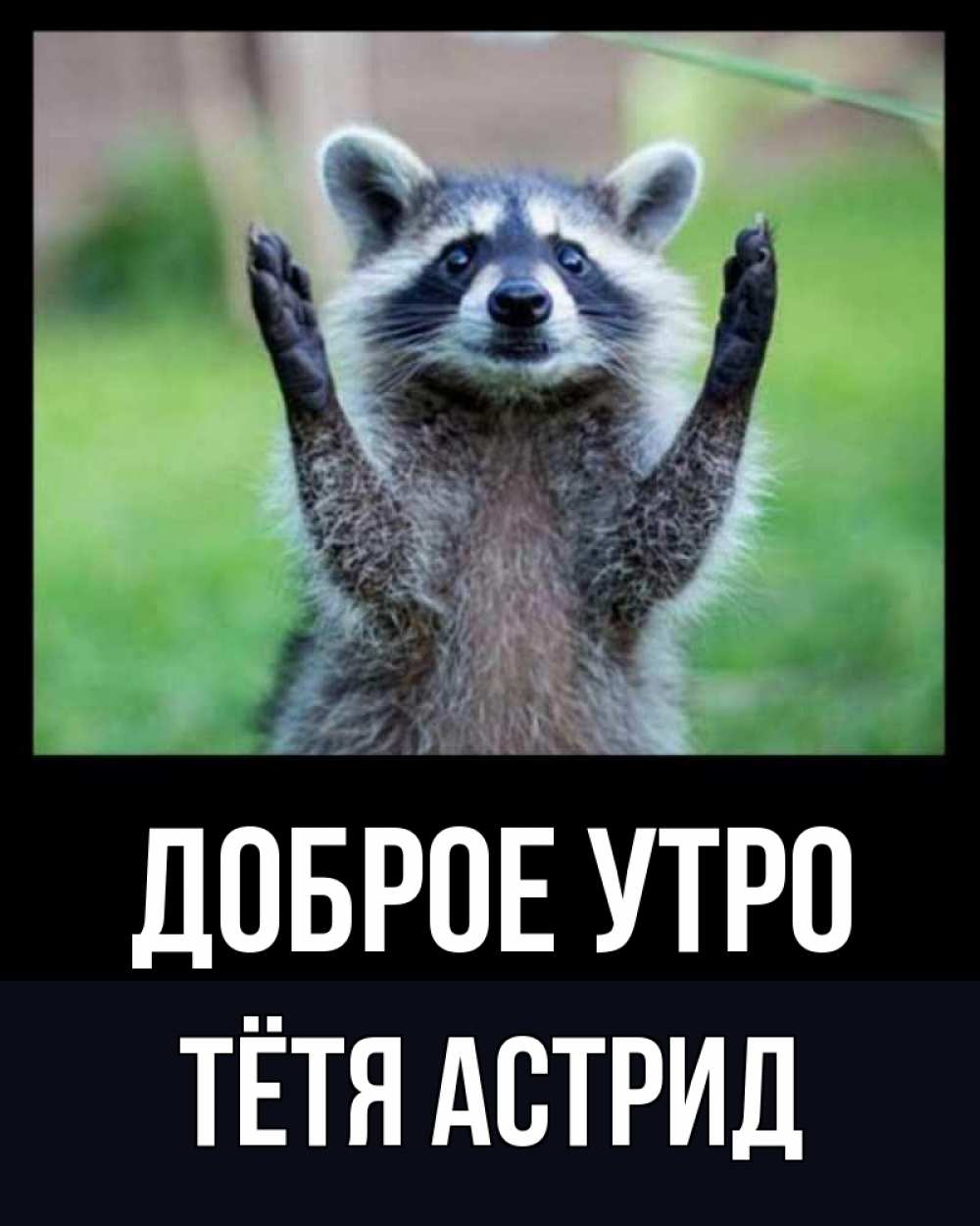 Открытка на каждый день с именем, Тётя-Астрид Доброе утро хорошее настроение утречком Прикольная открытка с пожеланием онлайн скачать бесплатно 