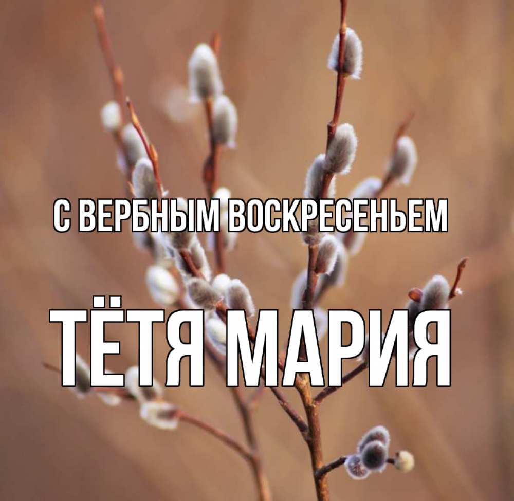 Открытка на каждый день с именем, Тётя-Мария С вербным воскресеньем верба Прикольная открытка с пожеланием онлайн скачать бесплатно 