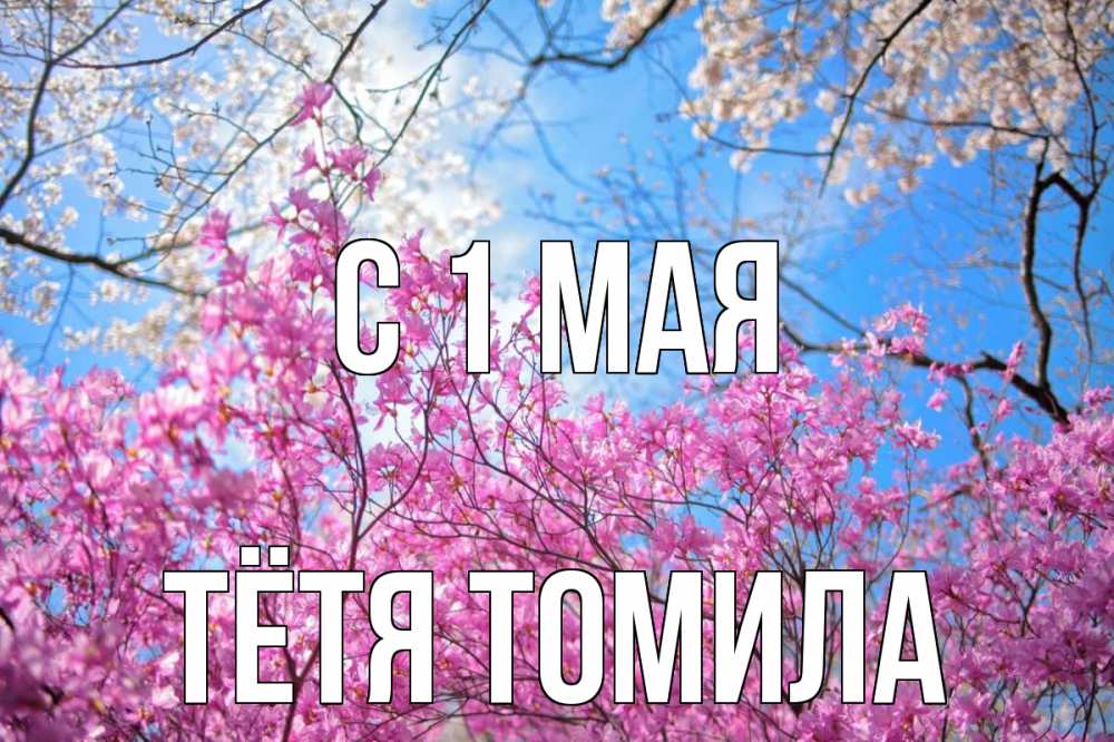 Открытка на каждый день с именем, Тётя-Томила С 1 мая С 1 мая Прикольная открытка с пожеланием онлайн скачать бесплатно 