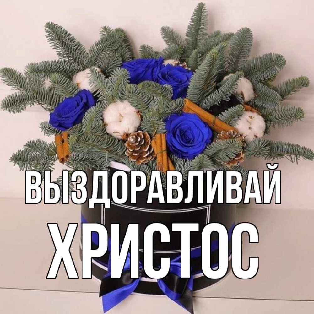 Открытка на каждый день с именем, Христос Выздоравливай короче кто то загрузил эти шишки Прикольная открытка с пожеланием онлайн скачать бесплатно 